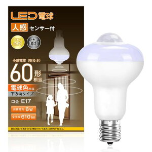 lZT[tledde17dF60`610lmÃZT[t^d_Yh~ȃGlʏKi֘LgC1