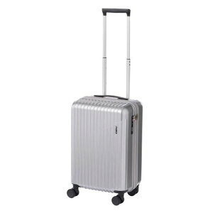 [ACE]X[cP[XNX^2No.0693635L2~3@݉2.9kgLX^[Xgbp[oփLX^[RۉHn55cmVo[wAC