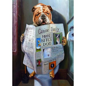 JISHSHAY_ChA[gZbgS30x40cm_ChA[g5D_ChA[gr[YA[g_ChyCeBO_ChyCeBOr[YA[gDIYc