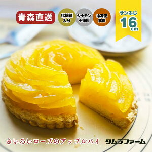 ^t@[ 킹Ԃ낢[ỸAbvpC Mtg{bNX bZ[WJ[h Ⓚ z[^Cv 16cm 500gyzFN₩ȃTӂKŇ`̃Abvp