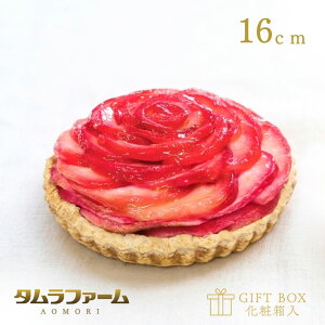 �^�����t�@�[�� �g�ʂ̃A�b�v���p�C ���[�Y 16cm �z�[���^�C�v [ �K�N �X�C�[�c ] �X���Y�g�ʂ�񂲎g�p �M�t�g ���b�Z�[�W�J�[�h���� �������� �Z���ȍg�ʂ̖��킢 ���a�����₨����
