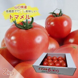 【お買い物マラソン限定半額】【予約受付中】トマメル 大玉トマト 2kg 山口県産 秀品 箱売り 高糖度 あまいトマト 旨味 とまと 美味しいトマト 御中元 お中元 箱 お取り寄せ ミネラル 豊富 プレミアム ビタミンC リコピン おいしい あまい 甘い 糖度