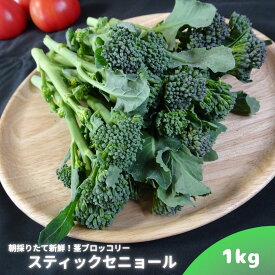 【20日限定P2倍】【3日以内発送可能】 ブロッコリー 山口県産 1kg 朝どり スティックセニョール 茎ブロッコリー 1キロ 新鮮野菜 国産 産地直送 朝採れ野菜 山口産 産直野菜 産直 美味しい おいしい 直売所 サラダ やさい 農園 野菜 茹で野菜 パスタ シチュー スープ