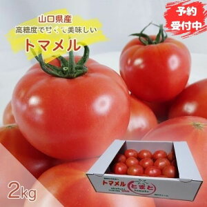 【予約受付中】トマメル トマト 2kg とまと ギフト 山口県産 秀品 箱売り 大玉 高糖度 あまいトマト 美味しいトマト 高糖度トマト 箱 お取り寄せ 新鮮野菜 赤土とまと ミネラル 豊富 プレミア