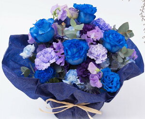 004yu[[ỸAWgz C{[[Y IV j \ a j oYj zCgf[ o^C ̓ ̓ hV̓ LO LO  