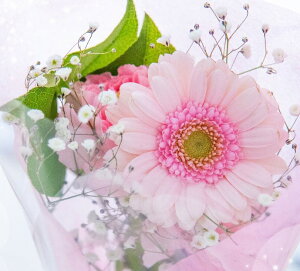 005 Ƃv[gɁy~ju[P^sNz j \ a j oYj zCgf[ o^C ̓ ̓ hV̓ LO LO  ސE w 