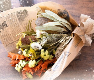 010 EGfBOCeAɂyhCt[XbO^CG[nz ԑ X^[`X j a xr[tHg oYj zCgf[ o^C ̓ ̓ hV̓ 