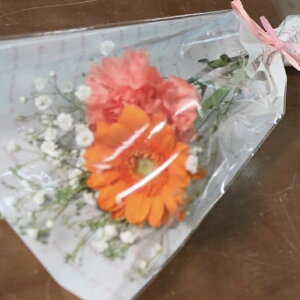 035 Ƃv[gɁy~ju[P^IWz ԑ u[P t[AWg j a j oYj zCgf[ o^C ̓ ̓ hV̓ L