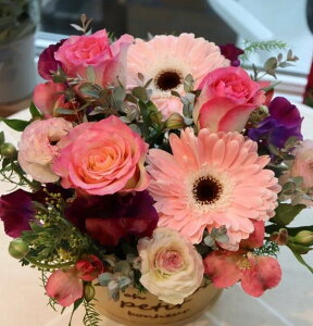 076 sNƃp[ṽAWg    ԑ t[AWg m IV j \ a j oYj zCgf[ o^C ̓ ̓ hV