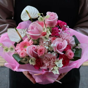 073 oƃJ[l[ṼsNAWg    ԑ t[AWg m IV j \ a j oYj zCgf[ o^C ̓ 
