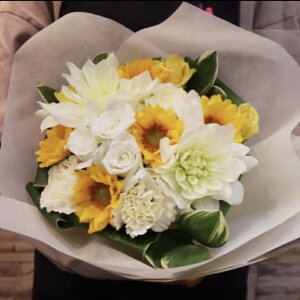 078 CG[ƃzCg̉ԑ   j a xr[tHg j oYj zCgf[ o^C ̓ ̓ ސEj AEj wj 