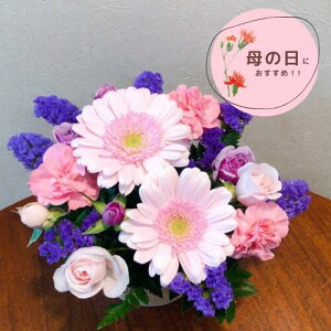 084 sNp[ṽAWg    ԑ t[AWg m IV j \ a j oYj zCgf[ o^C ̓ ̓ hV̓ 