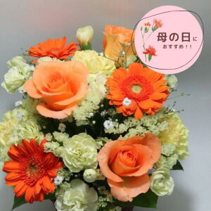 038 ܂yCG[IWnAWgz58    ԑ t[AWg m IV i` j v[g Mtg 蕨 ꂳ񂠂肪Ƃ