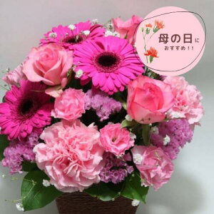 020 ܂ysNnAWgz   ԑ t[AWg m IV i` j v[g Mtg 蕨 ꂳ񂠂肪Ƃ