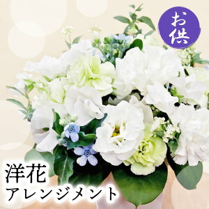 ~    ԑ AWg  蕨 @    O     ybg l\ @v  @v  t[AWg 