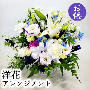 ~    ԑ AWg  蕨 @    O     ybg l\ @v  @v  t[AWg 