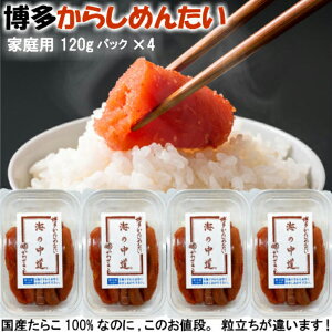 炵߂񂽂 C̒ ƒp120g×4pbN  N[ⓀւŔ kCߊČɂ }Jc킳Ӑg̐hqq 䒆  v`MtgɍœKłB