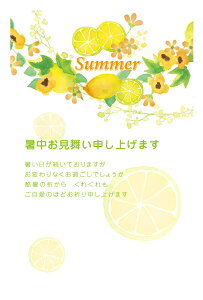 ͂10 pbN@͂iLemonji2020-004j@85~؎t͂