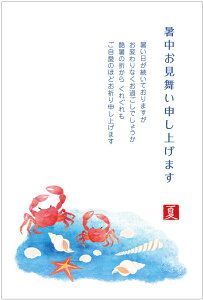 ͂10 pbN@nKLis-k43j͂@85~؎t͂