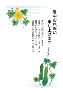 ͂10 pbN@nKLis-k44j͂@85~؎t͂