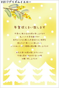 N󂶂܂ N󂶂܂ ͂ 10ivYCG[j10疇IׂINł̈A߂ ͈ς ͂i؎tj/͂i؎Ȃj