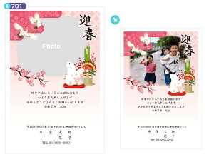 2020写真入り年賀状4枚〜500枚まで選択可お年玉付年賀ハガキ代込み【年賀状印刷送料無料名入れ】