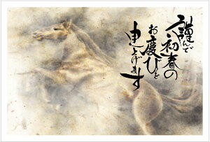 N 2026 ߔN N͂10pbN fUCς  10Zbg NʕtN͂㍞@yno.608z