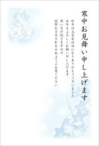 [ 10]͂i~jc^CviNo.801j[85~؎t/ʈς]IvVwŖł܂