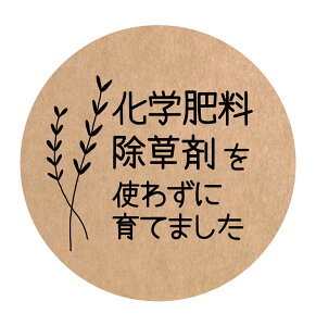 w엿܂g킸ɈĂ܂@V[ifoodseal-oga-022jی`@HȋV[@[Ntg]@(TCY40~/30~)