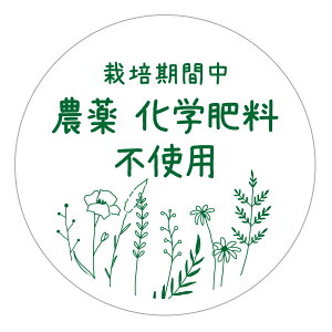 ͔|Ԓ@_򉻊w엿sgp@V[@[A[g]inoukla-009i-whitejی`@(TCY40~/30~) _sgpV[