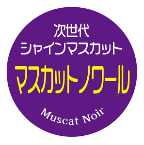 }XJbgm[@V[i561jVC}XJbg ی` A[g (TCY40~-120)@(TCY30~-240) ԂǂiV[