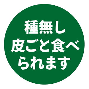 햳@炲ƐHׂ܂ V[i564jی` A[g (TCY40~-120)@(TCY30~-240)