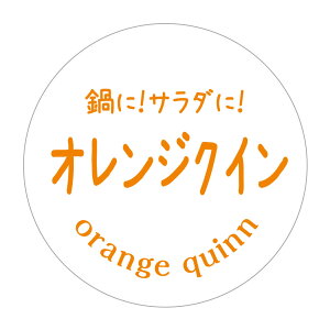 IWNC@V[i588jی`@(TCY40~-120)@(TCY30~-240)   V[