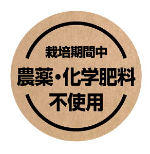 ͔|Ԓ@_Ew엿sgpV[@[Ntg]inoukla-14jی`@(TCY40~/30~)[Ntg]