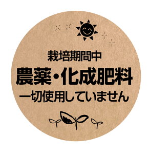 ͔|Ԓ@_E엿؎gpĂ܂@V[@[Ntg]inoukla-15jی`@(TCY40~/30~)[Ntg]_sgpV[