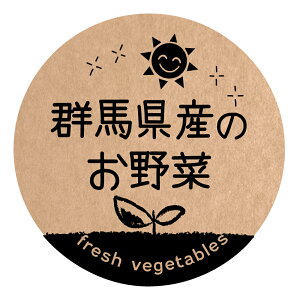 QnŶ V[@[Ntg] ifoodseal-oga-san-019jی`@TCY40~/30~