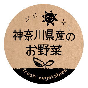 _ސ쌧Ŷ V[@[Ntg] ifoodseal-oga-san-022jی`@TCY40~/30~