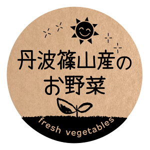 OgRŶ V[@[Ntg] ifoodseal-oga-san-057jی`@TCY40~/30~