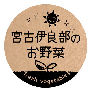 {ÈɗǕ̂ V[@[Ntg] ifoodseal-oga-san-063jی`@TCY40~/30~