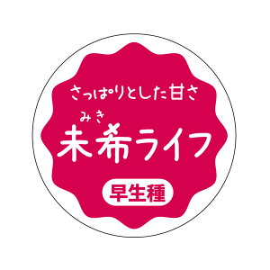 󃉃Ct@V[iapple-001jی`@(TCY40~-120)@(TCY30~-240)  i V[