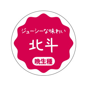 kl@V[iapple-009jی`@(TCY40~-120)@(TCY30~-240)  i V[ ق