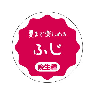 ӂ@V[iapple-010jی`@(TCY40~-120)@(TCY30~-240)  i V[ ӂ