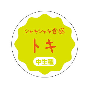 gL@V[iapple-013jی`@(TCY40~-120)@(TCY30~-240)  i V[