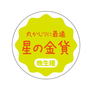 ̋݁@V[iapple-015jی`@(TCY40~-120)@(TCY30~-240)  i V[