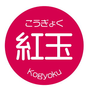 gʁ@V[iapple-023jی`@(TCY40~-120)@(TCY30~-240)  i V[ 傭