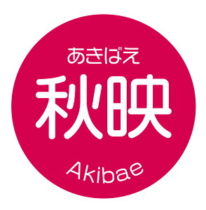 Hf@΂@V[iapple-041jی`@(TCY40~-120)@(TCY30~-240)  i V[ ق