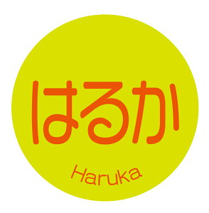 ͂邩@V[iapple-045jی`@(TCY40~-120)@(TCY30~-240)  i V[