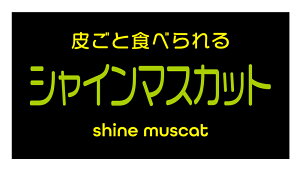 VC}XJbg@V[i141-2yokoj^ A[g ԂǂiV[ Ԃǂx TCY48.3×25.4~