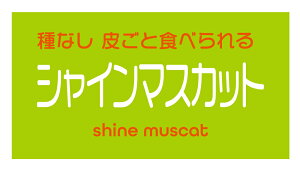 VC}XJbg@V[i148-2yokoj^ A[g ԂǂiV[ Ԃǂx TCY48.3×25.4~