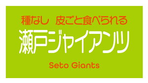 ˃WCAc@V[i149-2yokoj^ A[g ԂǂiV[ Ԃǂx TCY48.3×25.4~